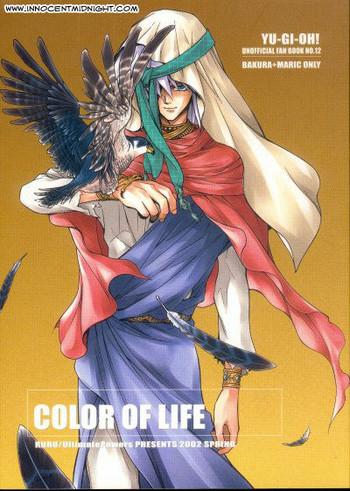 color of life english cover