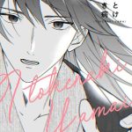 cover 26
