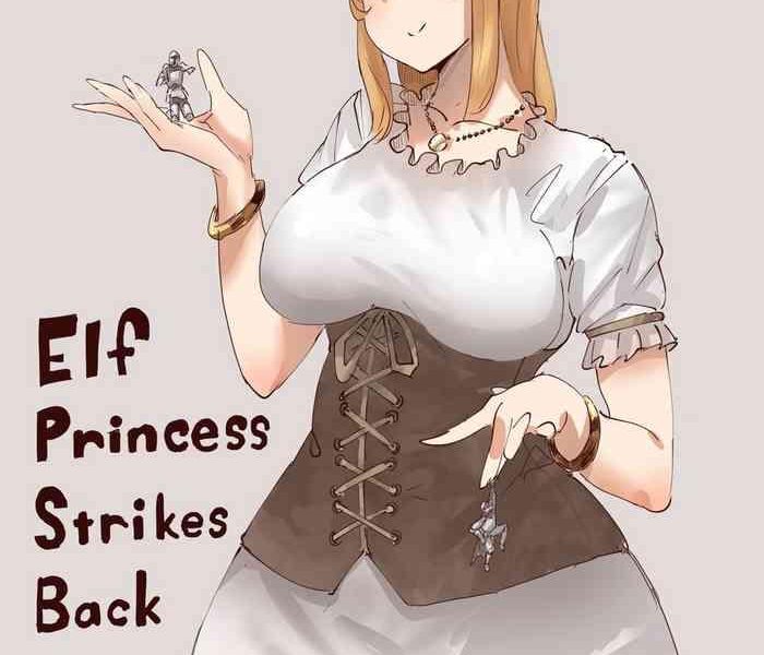 elf princess strikes back part2 cover