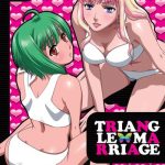 triangle marriage cover