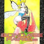 bondage fairies cover