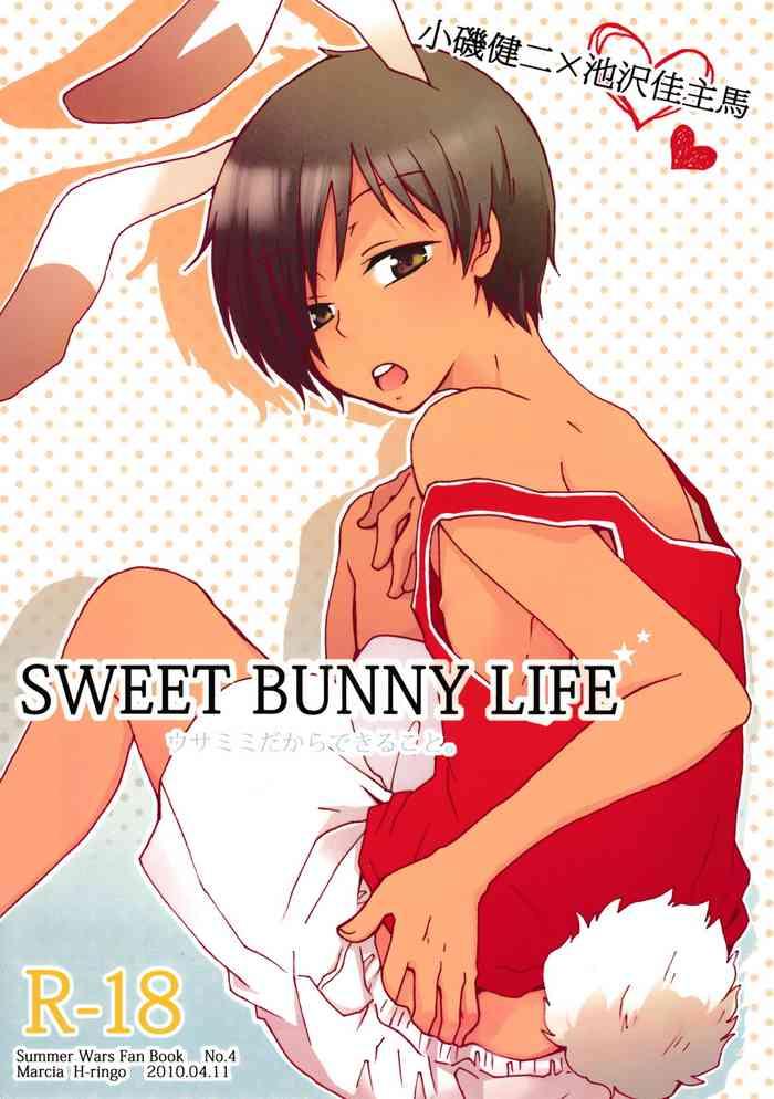 sweet bunny life cover