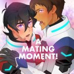 a mating moment cover