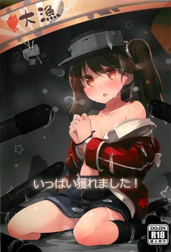 ippai toremashita cover