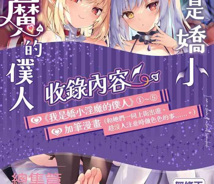 boku wa chiisana succubus no shimobe soushuuhen cover