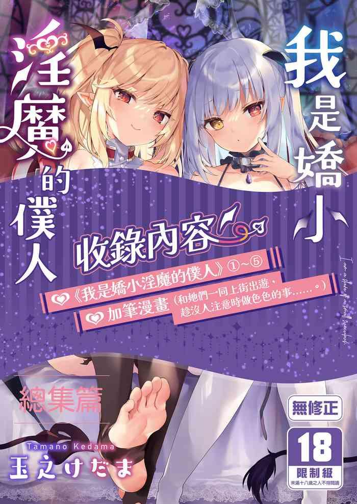 boku wa chiisana succubus no shimobe soushuuhen cover