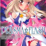 prisma flash cover