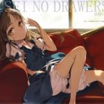 yousei no drawers ii cover