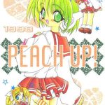 peach up cover