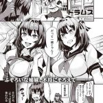 dual swap cover