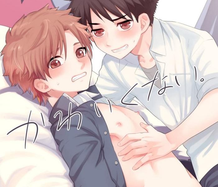 kawaikunai cover