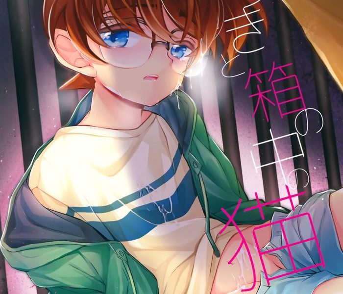 usotsuki to hako no naka no neko cover
